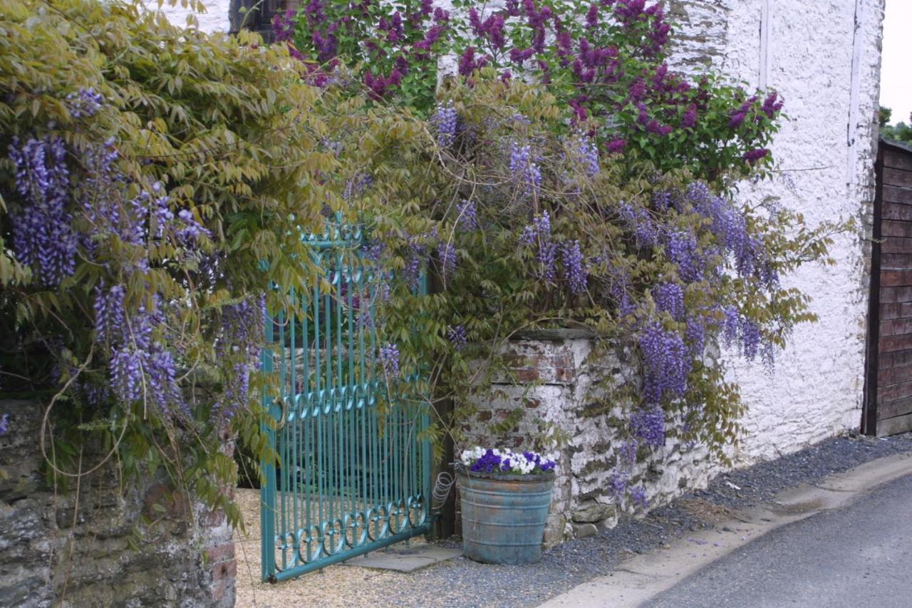 La Vie en Rose hotel Gouvy Extérieur photo